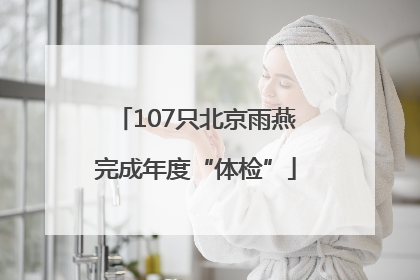 107只北京雨燕完成年度“体检”