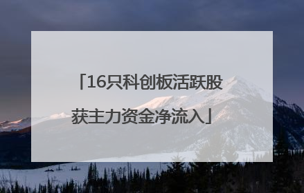 16只科创板活跃股获主力资金净流入