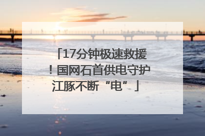 17分钟极速救援！国网石首供电守护江豚不断“电”