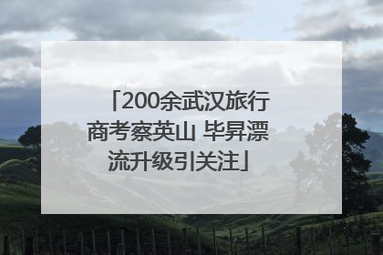 200余武汉旅行商考察英山 毕昇漂流升级引关注