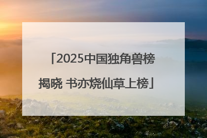 2025中国独角兽榜揭晓 书亦烧仙草上榜