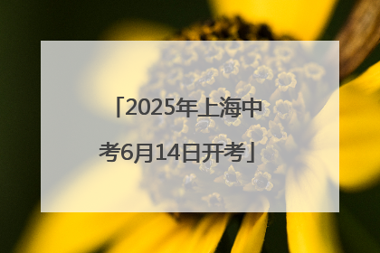 2025年上海中考6月14日开考