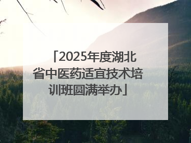 2025年度湖北省中医药适宜技术培训班圆满举办