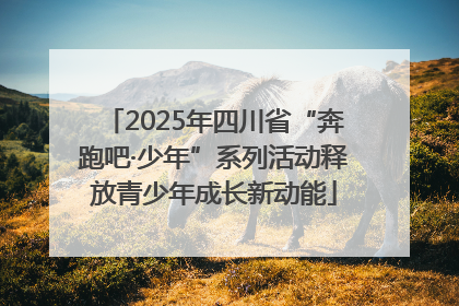 2025年四川省“奔跑吧·少年”系列活动释放青少年成长新动能