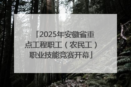 2025年安徽省重点工程职工（农民工）职业技能竞赛开幕