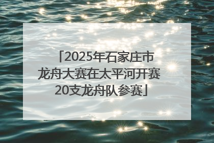 2025年石家庄市龙舟大赛在太平河开赛 20支龙舟队参赛