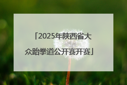 2025年陕西省大众跆拳道公开赛开赛
