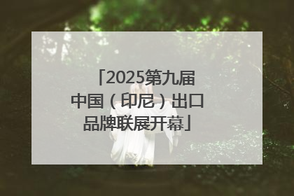 2025第九届中国（印尼）出口品牌联展开幕