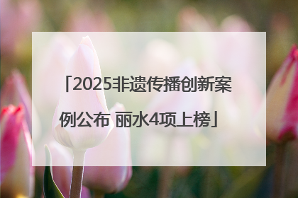 2025非遗传播创新案例公布 丽水4项上榜