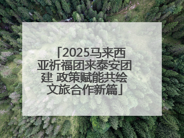 2025马来西亚祈福团来泰安团建 政策赋能共绘文旅合作新篇