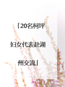 20名柯坪妇女代表赴湖州交流