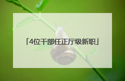 4位干部任正厅级新职