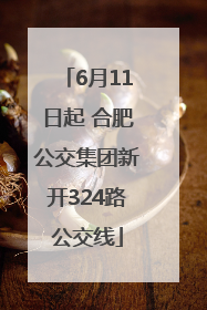 6月11日起 合肥公交集团新开324路公交线