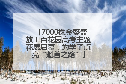 7000株金葵盛放！百花园高考主题花展启幕，为学子点亮“魁首之路”
