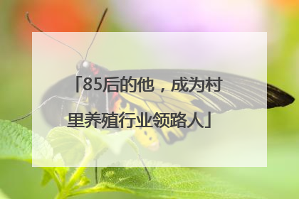 85后的他，成为村里养殖行业领路人