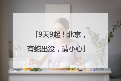9天9起！北京，有蛇出没，请小心