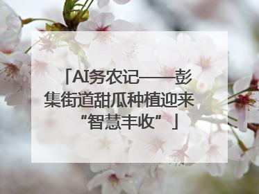AI务农记——彭集街道甜瓜种植迎来“智慧丰收”