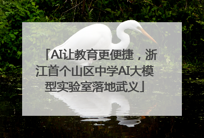 AI让教育更便捷，浙江首个山区中学AI大模型实验室落地武义