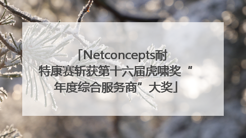 Netconcepts耐特康赛斩获第十六届虎啸奖“年度综合服务商”大奖
