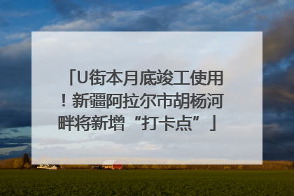 U街本月底竣工使用！新疆阿拉尔市胡杨河畔将新增“打卡点”